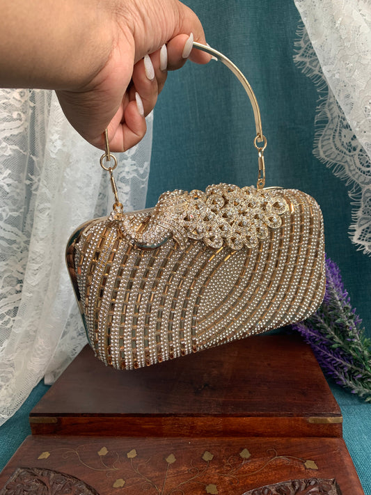 Women handbag/clutch